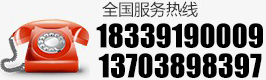 0391-5098788 17183914444