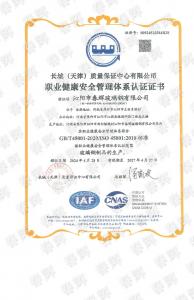 職業(yè)健康體系證書